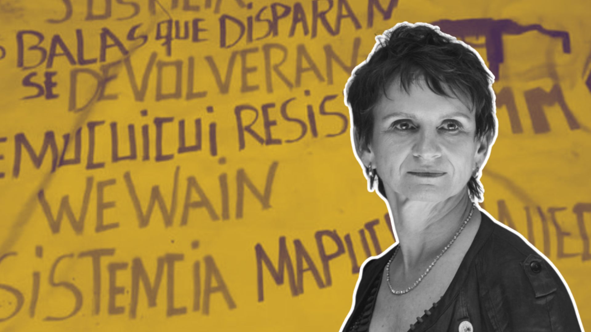 Nuevo ataque de la Resistencia Mapuche Malleco: Intento de descarrilamiento y amenaza a la Ministra Tohá